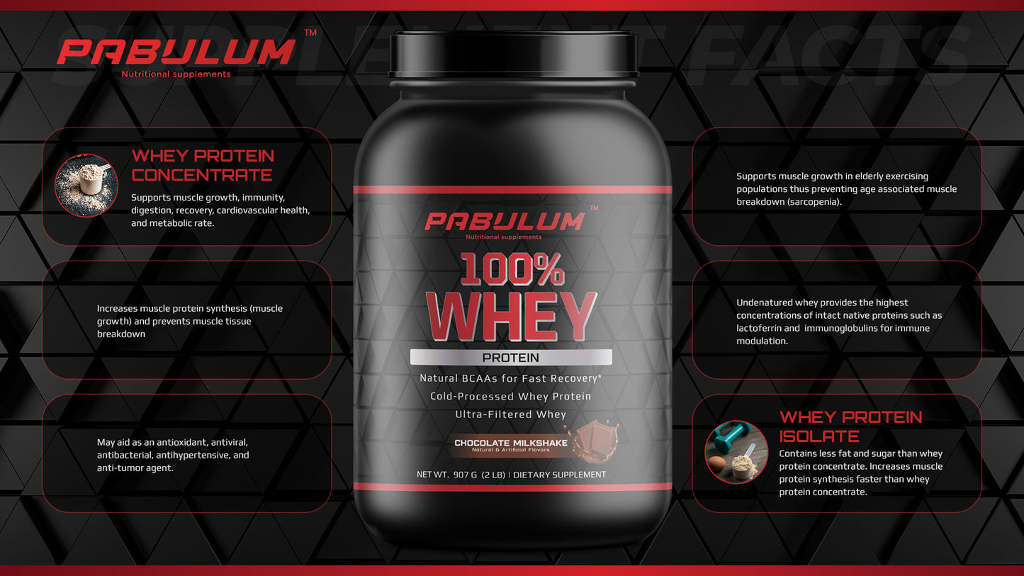 Whey ARMOR 2LB Chocolate